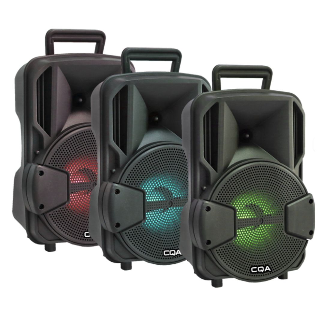 Altavoz Grande, Portátil, Micrófono Inalámbrico, Luces LED, Bluetooth, USB, Radio FM, Oferta 2x1.