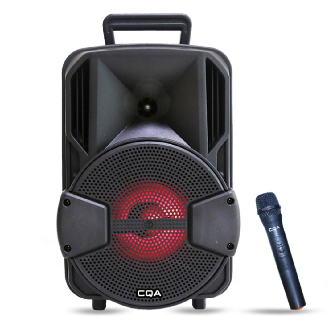 Altavoz Grande, Portátil, Micrófono Inalámbrico, Luces LED, Bluetooth, USB, Radio FM, Oferta 2x1.